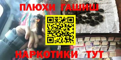 jwh Бийск