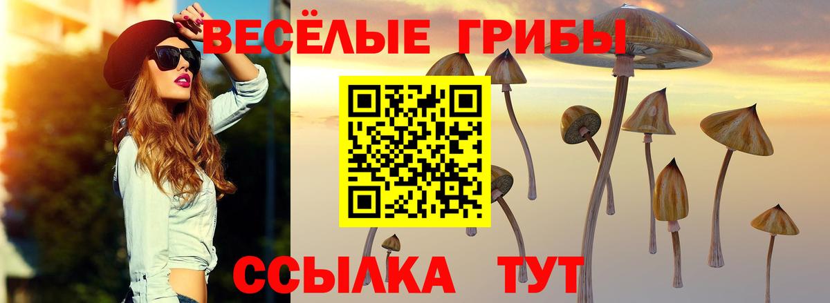 Керчь  Псилоцибиновые грибы прущие грибы  Вход с VPN  Псилоцибиновые грибы прущие грибы 